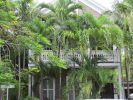 PICTURES/Key West Wanderings/t_Oldest House1.jpg